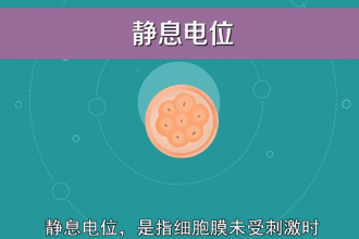 <em>帶</em><em>您</em><em>了解</em>靜息<em>電位</em>