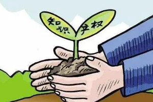 帶你了解知識產(chǎn)權(quán)法（圖3）