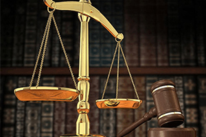 <em>涉外</em><em>警務</em><em>專業(yè)</em>：跨國犯罪對國家安全的危害及其對策