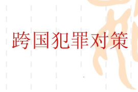 <em>課件</em>：<em>涉外</em><em>警務</em><em>專業</em>《跨國犯罪對策》