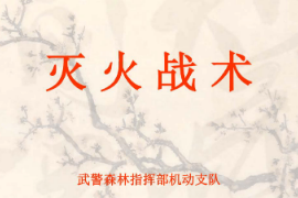 <em>課件</em>：<em>消防</em><em>指揮</em><em>專業(yè)</em>《滅火戰(zhàn)術(shù)—概念》