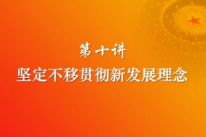 堅定不移貫徹新<em>發展</em><em>理念</em>