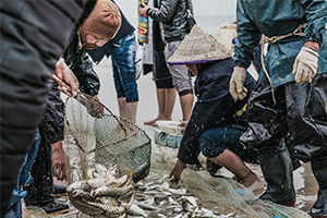 海洋科學專業：《水產動物生理學》課程思政案例