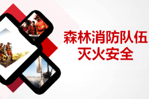 <em>課件</em>：林業(yè)<em>技術</em><em>專業(yè)</em>《森林<em>防火</em>—森林消防隊伍》