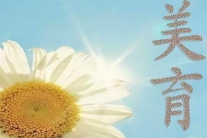 中北大學(xué)信息與通信工程學(xué)院“美育提升”工程實(shí)施方案