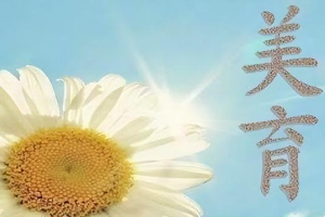 三峽大學新時代大學生<em>美育</em>教育<em>實施方案</em>