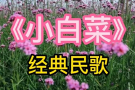 <em>美育</em><em>類(lèi)</em><em>資源</em>—<em>音樂(lè)作品</em>《小白菜》