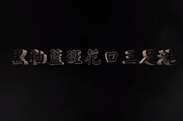 <em>中華</em><em>傳統(tǒng)文化</em>—黑釉藍(lán)斑花口三足<em>洗</em>