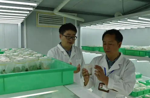 宋光龍植保工匠室：綠水青山的<em>守護(hù)</em>者，植保工匠精神的<em>傳承</em>者